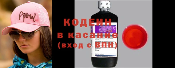 хмурый Абаза
