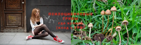спайс Абдулино