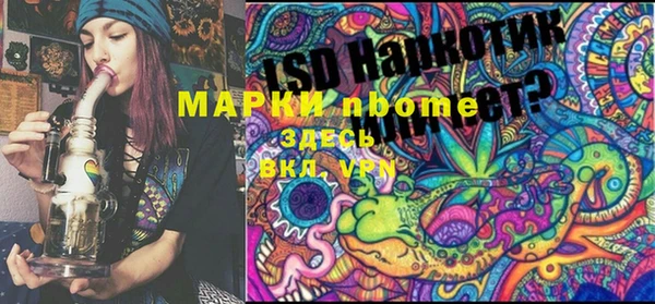 хмурый Абаза