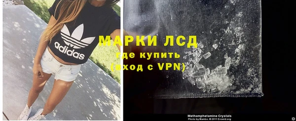 хмурый Абаза