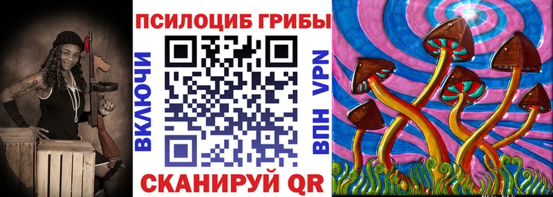 Псилоцибиновые грибы прущие грибы  где купить   Камень-на-Оби 
