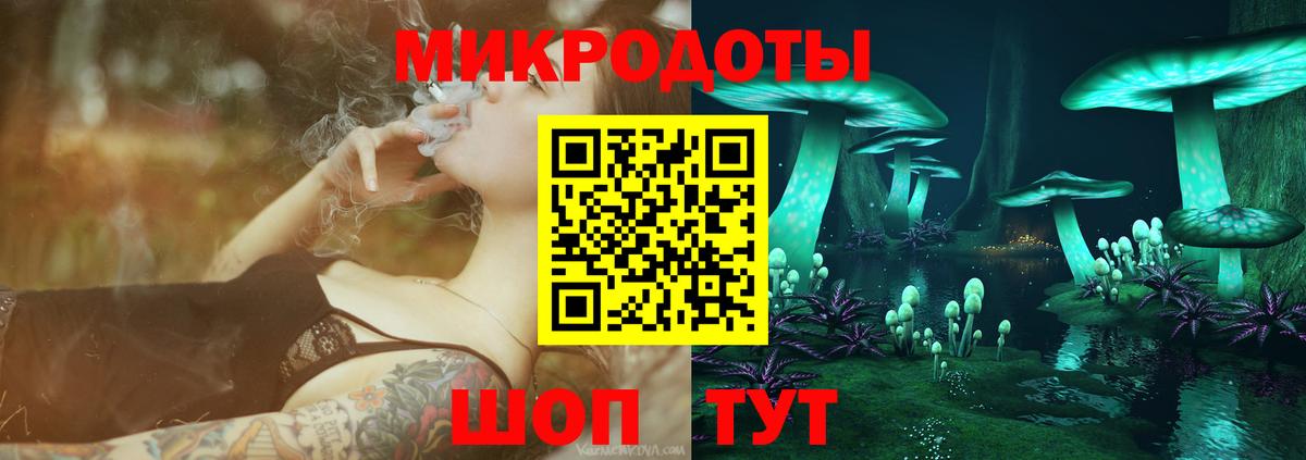 Псилоцибиновые грибы Cubensis  Галлюциногенные грибы мицелий  Камень-на-Оби  Вход с VPN 